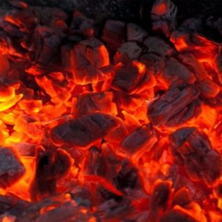 древесный отход