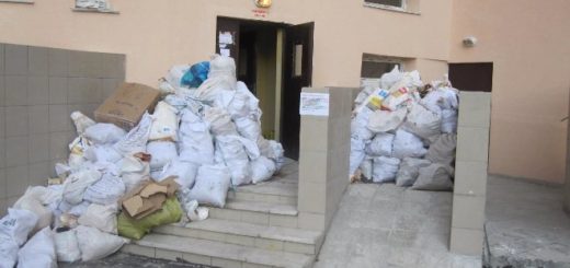 вывоз мусора из квартиры штраф за мусор в неположенном месте