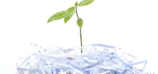 Вторичная утилизация макулатуры