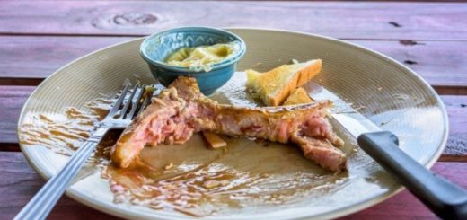 Пищевые остатки утилизация отходов класса б