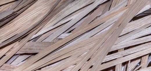 древесный отход шпон