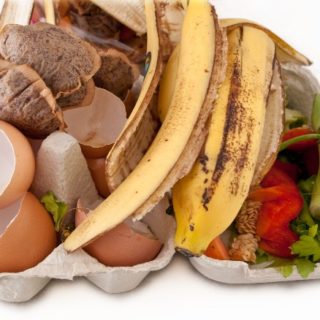 вывоз пищевых отходов