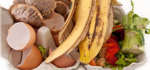 вывоз пищевых отходов