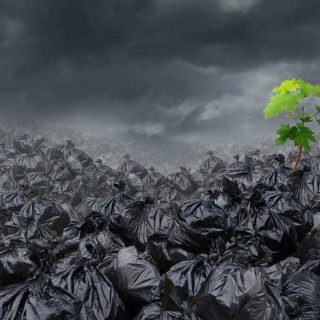 Полигон ТБО