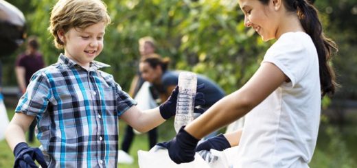 несанкционированные свалки