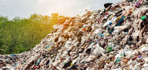 несанкционированные свалки