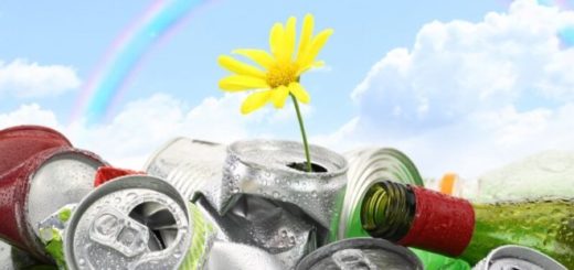 несанкционированные свалки