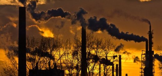 производственный отход