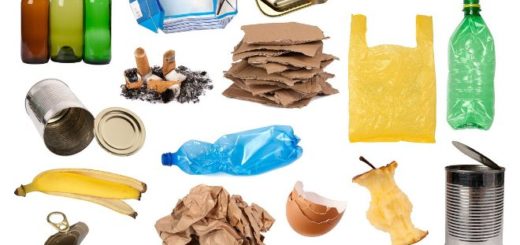 региональный оператор