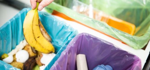 пищевые отходы