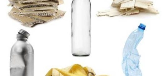 вывоз мусора в сельской местности