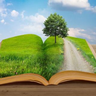 кадастр отходов