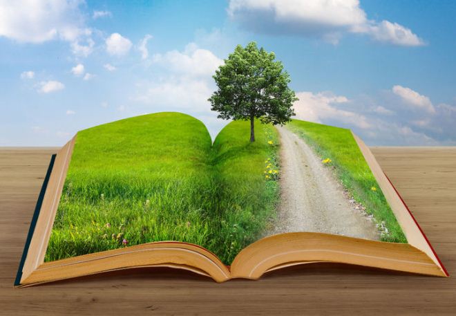 кадастр отходов