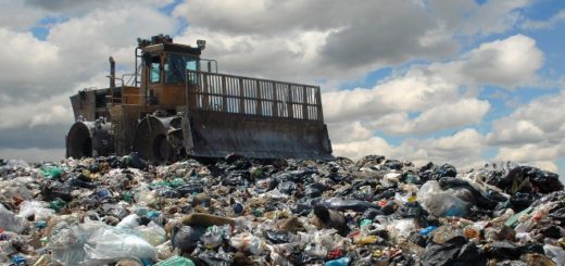 лицензия на деятельность с отходами