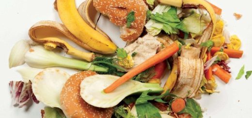 пищевые отходы