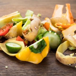 сколько разлагается мусор