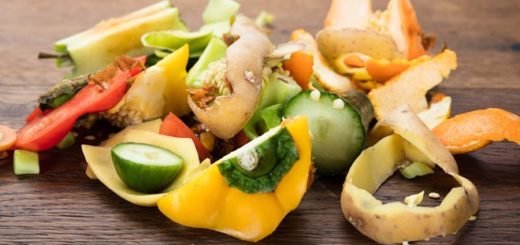 сколько разлагается мусор