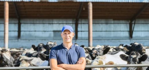 утилизация ветеринарных отходов