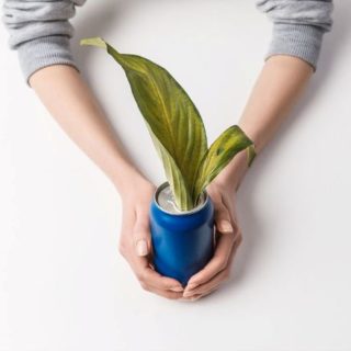 проблема отходов