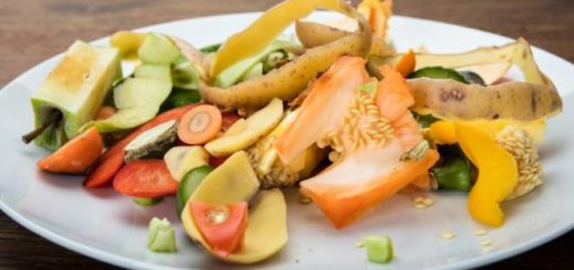 пищевые отходы