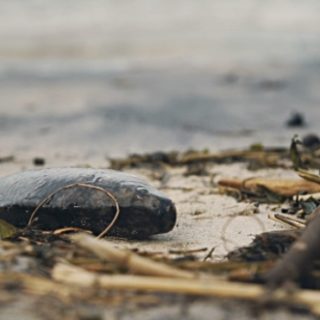 определение класса опасности