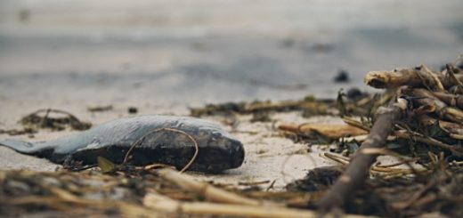 определение класса опасности