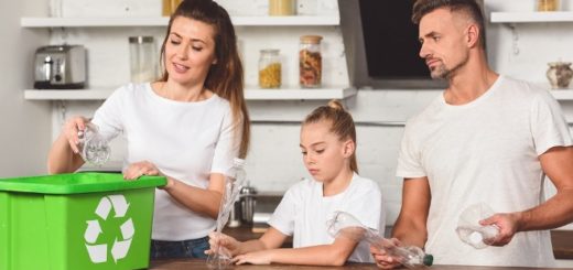 проблема отходов