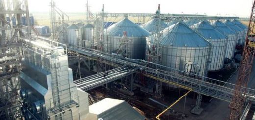 утилизация животных