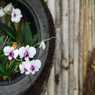 утилизация шин