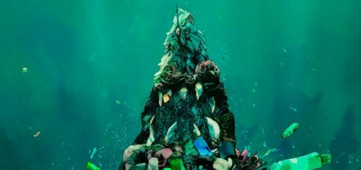 Загрязнение вод мирового океана