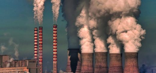 Проблема мусора