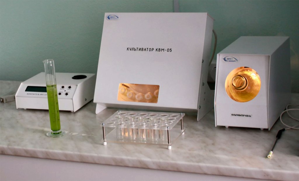 provedenie-biotestirovaniya-othodov-5-klassa-opasnosti.jpg?resize=1024%2C618&ssl=1