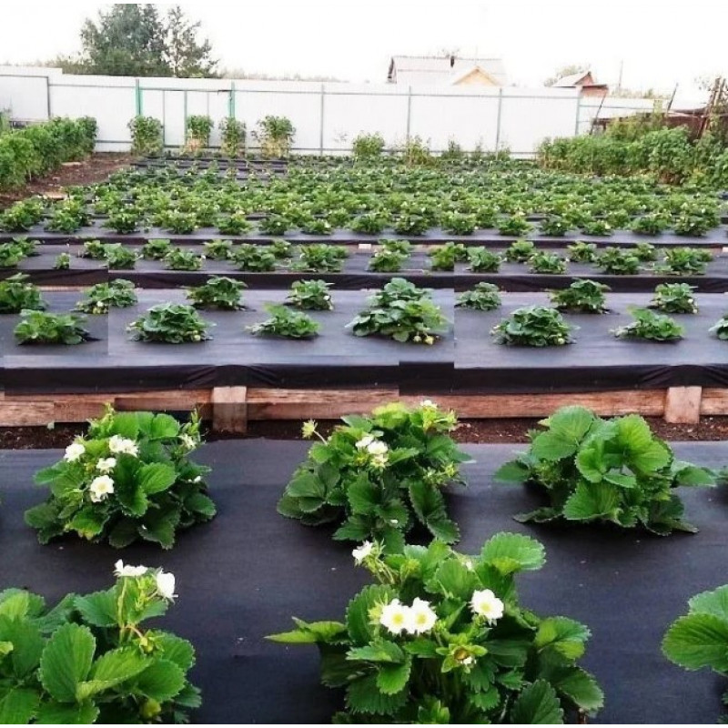 Прочность и универсальность: почему спанбонд так популярен в современном мире?