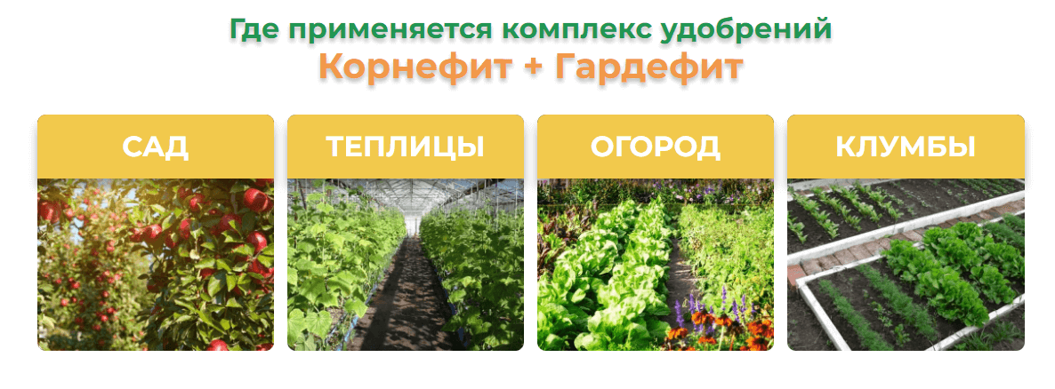 Корнефит и ГардеФит: двойной удар для здоровья ваших растений - биокомплекс, ускоряющий рост и укрепляющий структуру