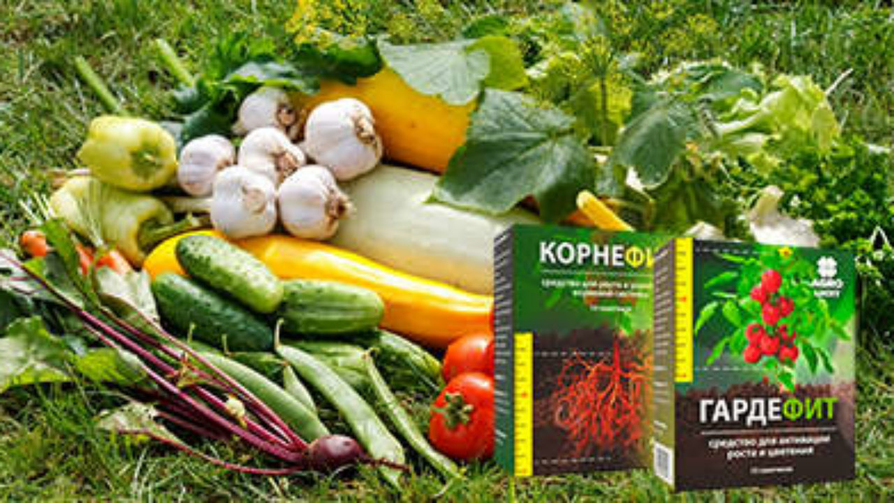 Корнефит и ГардеФит: двойной удар для здоровья ваших растений - биокомплекс, ускоряющий рост и укрепляющий структуру