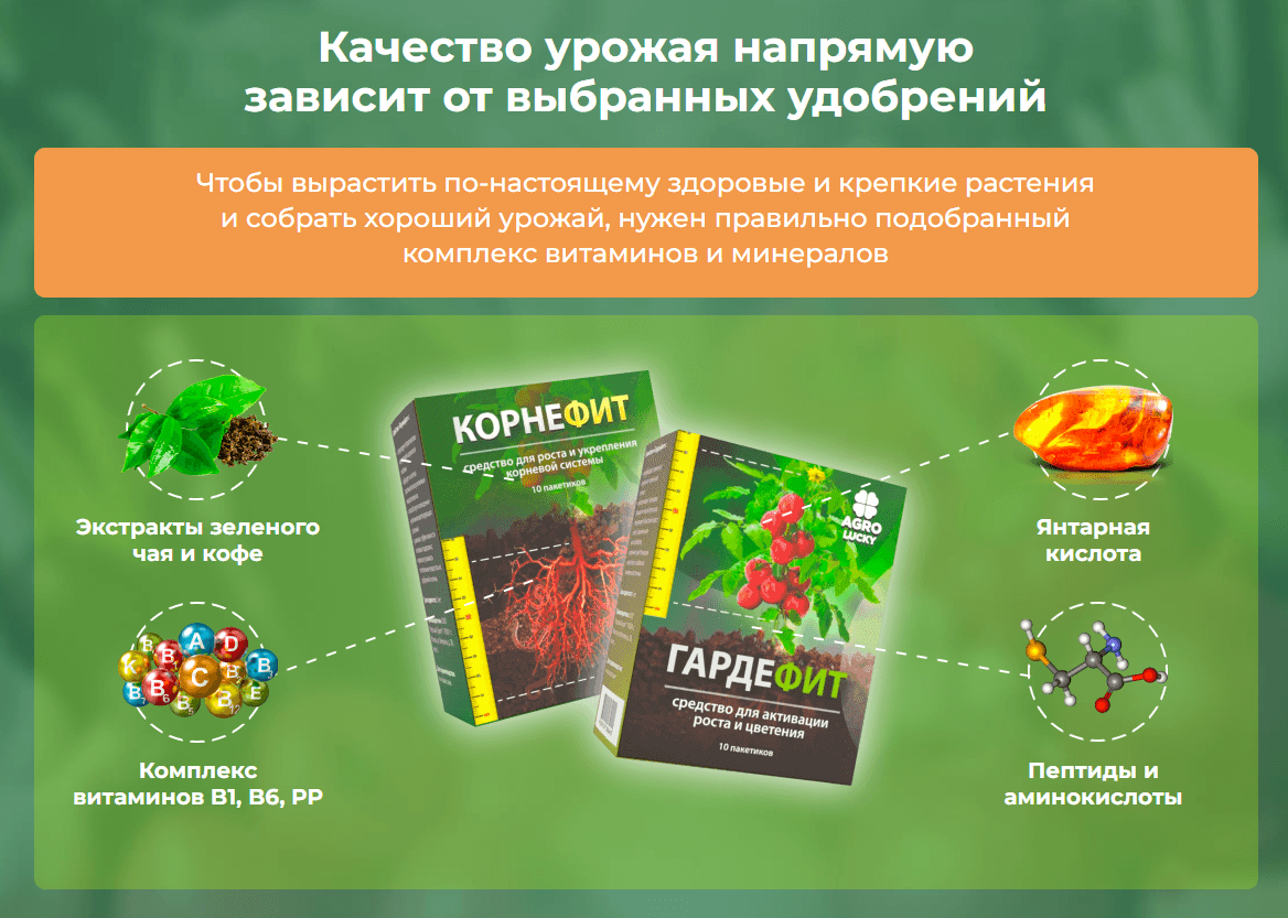 Корнефит и ГардеФит: двойной удар для здоровья ваших растений - биокомплекс, ускоряющий рост и укрепляющий структуру