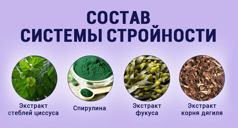 Препарат Система Стройности для эффективного похудения